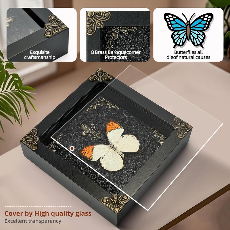 GDBEH Real Butterfly Framed Handmade - Taxidermy Butterfly Shadow Box - Real Framed Butterflies in a Box for Gothic Home Decor Aesthetic. (Hebomoia glaucippe) - Image 3